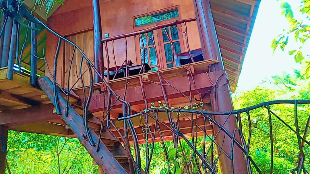Sigiri Aliya Tree House Hotel Сигирия Екстериор снимка