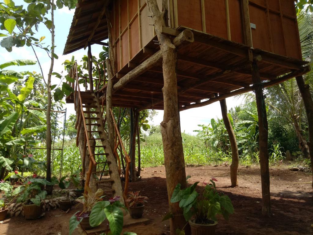 Sigiri Aliya Tree House Hotel Сигирия Екстериор снимка