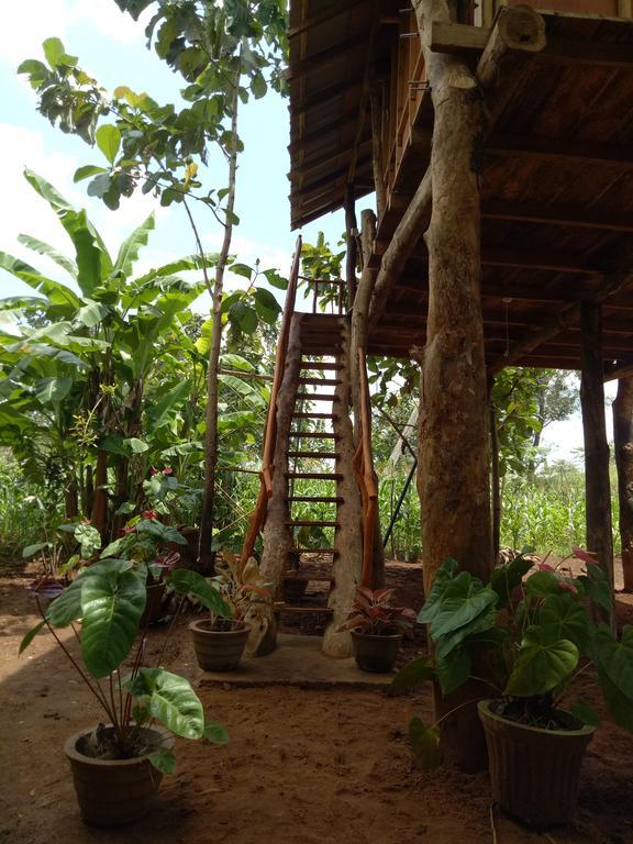 Sigiri Aliya Tree House Hotel Сигирия Екстериор снимка