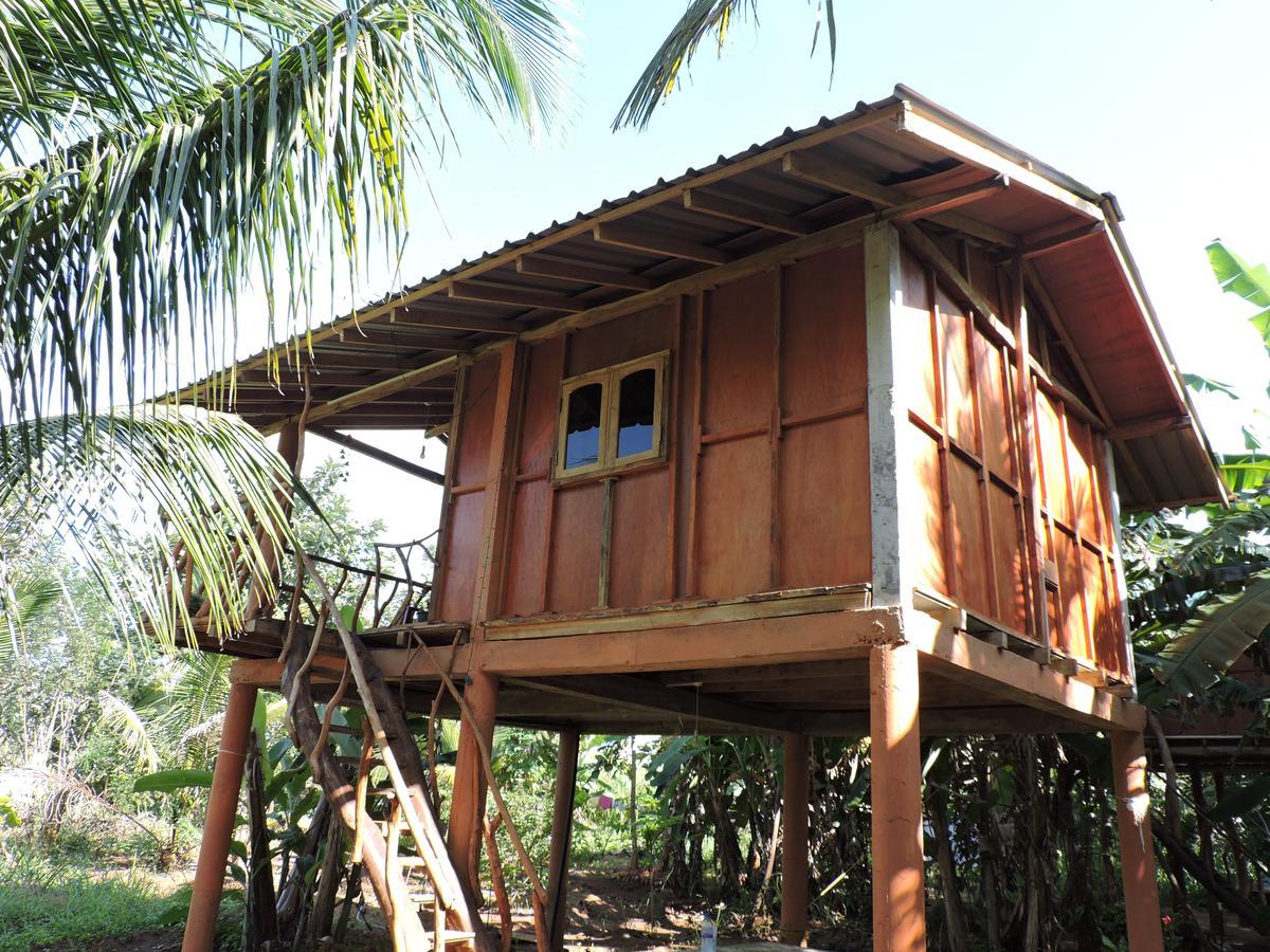 Sigiri Aliya Tree House Hotel Сигирия Екстериор снимка