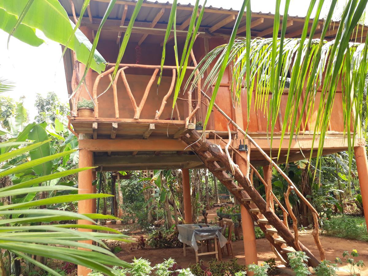 Sigiri Aliya Tree House Hotel Сигирия Екстериор снимка