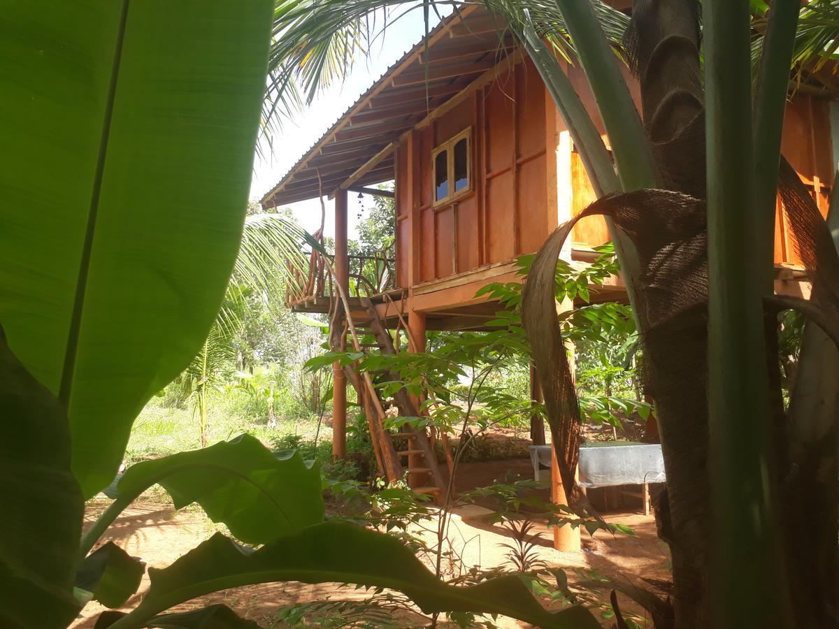 Sigiri Aliya Tree House Hotel Сигирия Екстериор снимка