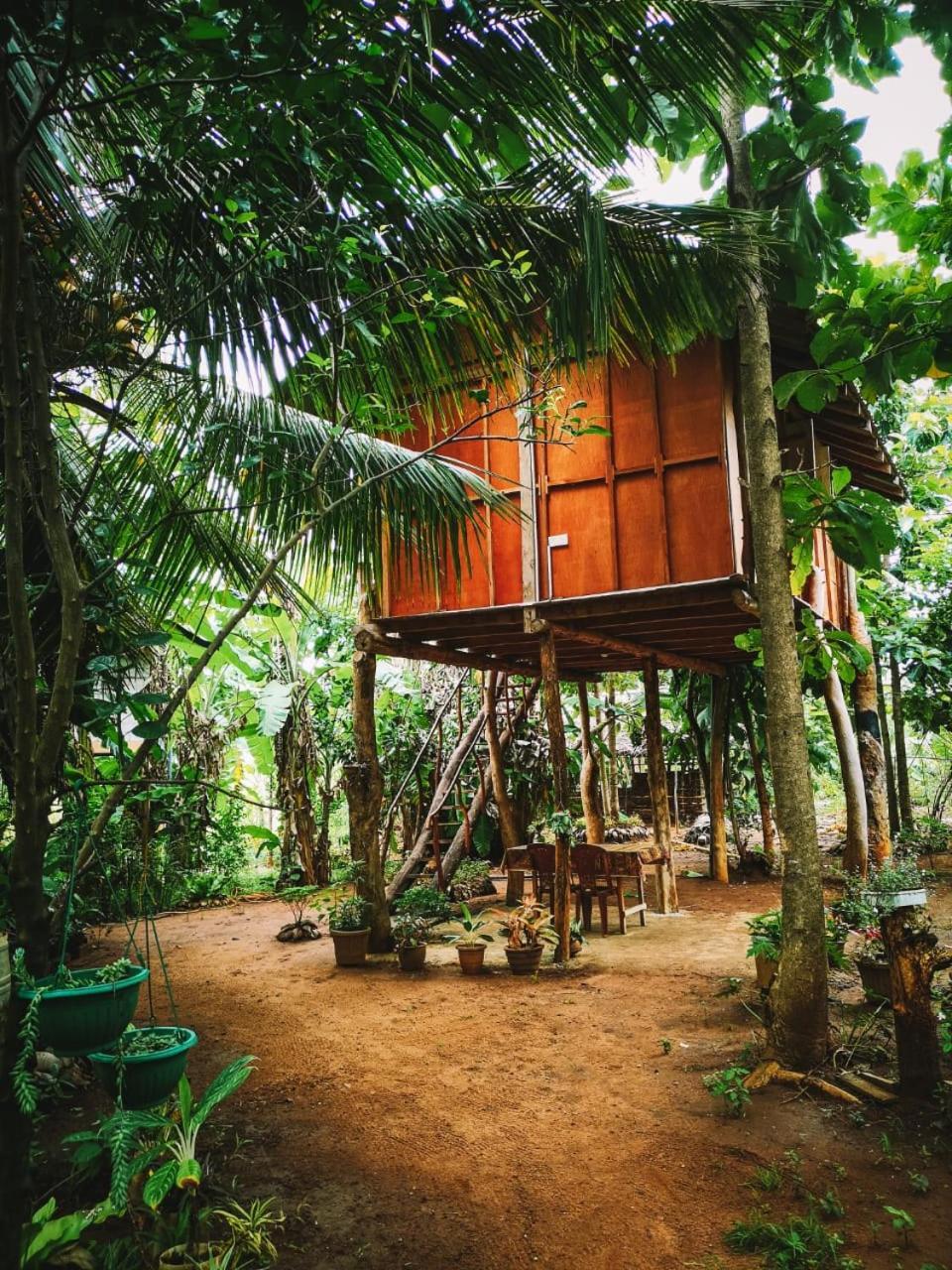 Sigiri Aliya Tree House Hotel Сигирия Екстериор снимка